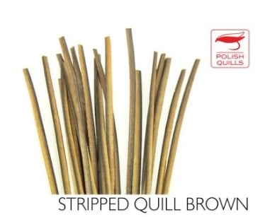 Polish Quills Quill & Fly Stripped Peacock Quills